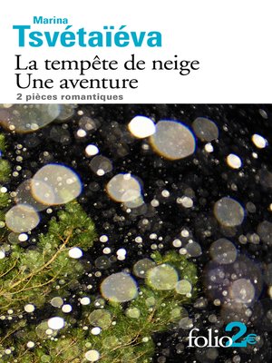 cover image of La tempête de neige &#8211; Une aventure